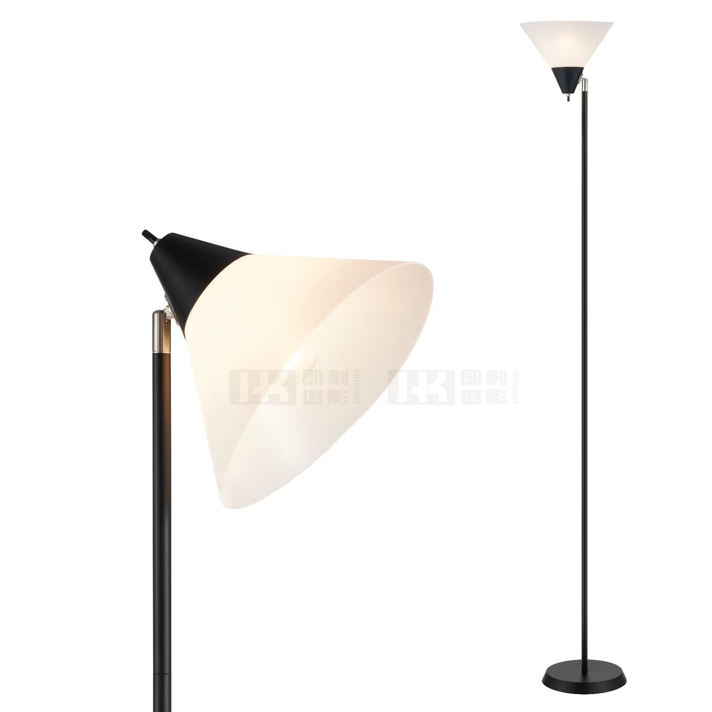 Floor Lamp Standing Light,Pole Lamps for Living Room, Adjustable Head Arcylic Shade Floor Light Black