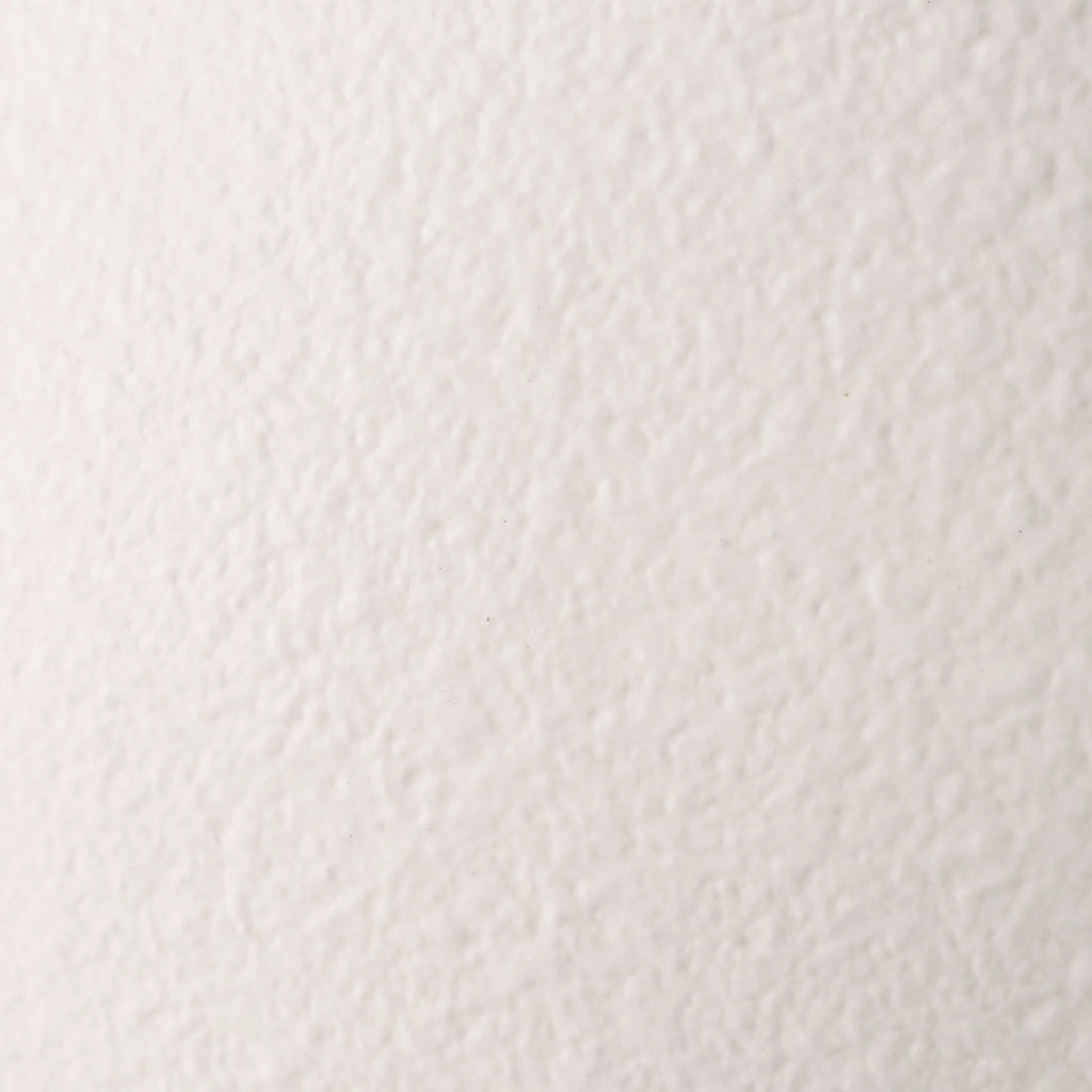 9.8" White Handled Ceramic Vase